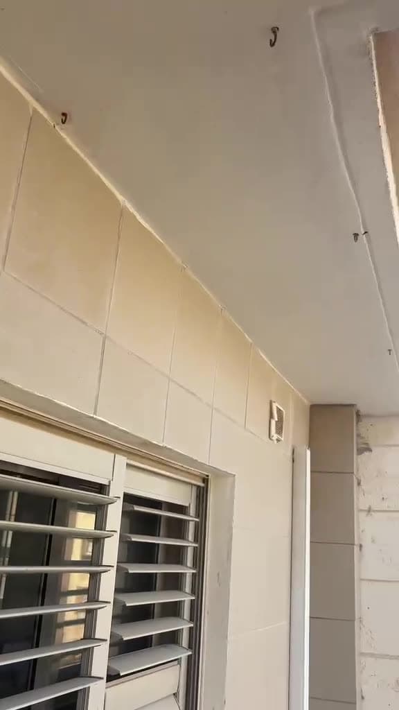לשלשת יונים על חזית וקרניז מבנה