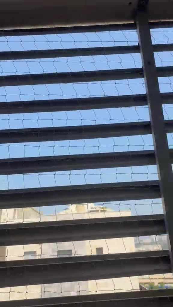 רשת נגד יונים על מרפסת מוצללת
