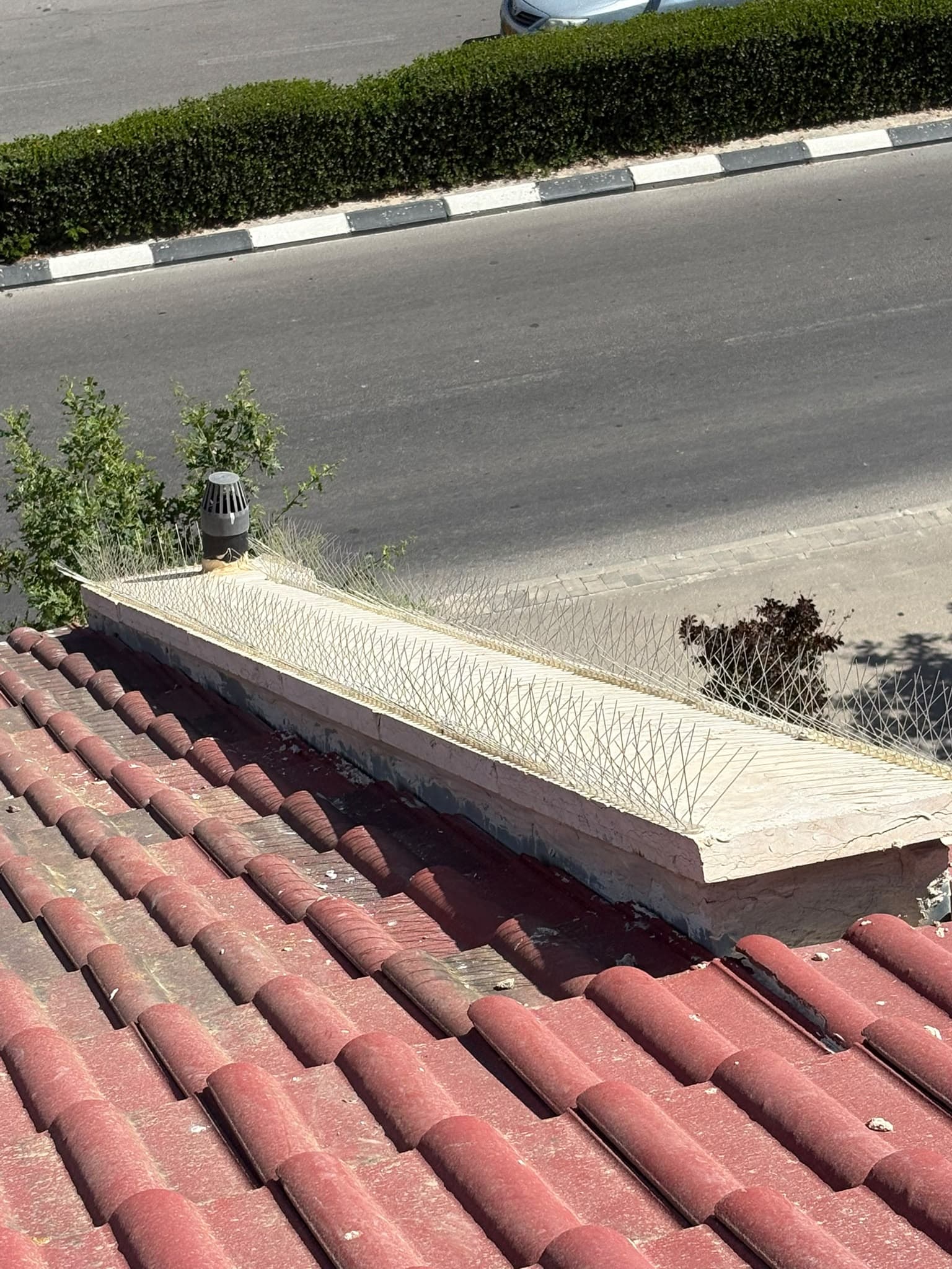 דוקרנים נגד יונים מותקנים לאורך קיר גדר אבן מעל גג רעפים אדום